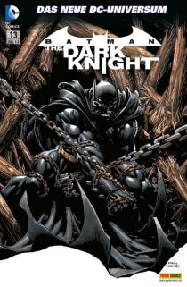 Batman
The Dark Knight 13