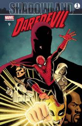 Daredevil 9
Shadowland 1 von 2