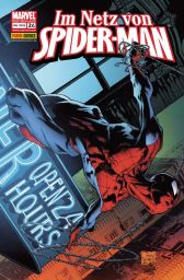 Im Netz von Spiderman 24