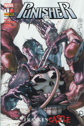Punisher Sonderband 5