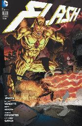 Flash 11
