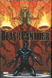 Black Panther 4