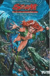 Storm - Die Chroniken von Rothaar 4