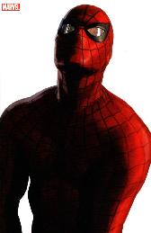 Spider-Man (2019) 27
Variant-Cover
Limitiert 777 Expl.