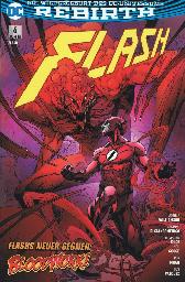 Flash - Rebirth 6