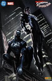 Superman/Spider-Man Variant-Cover G 
